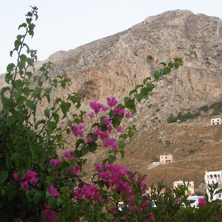 Studios Aeolos Kalymnos Myrties Extérieur photo
